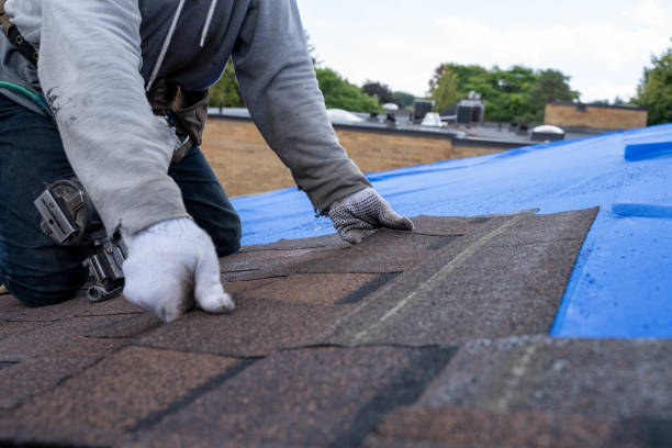 Best Gutter Installation and Roofing  in Pennville, PA