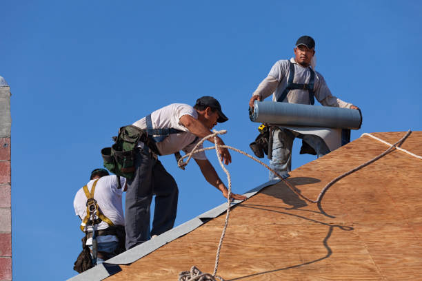 Best Roof Gutter Cleaning  in Pennville, PA